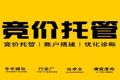 百度竞价排名案例：如何应对竞争对手的挑战